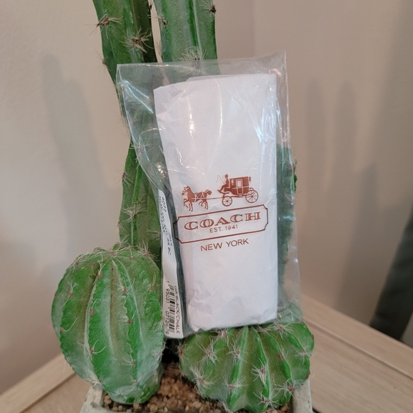 Coach Halloween witch 🧙‍♀️ bear charm - Picture 3 of 7